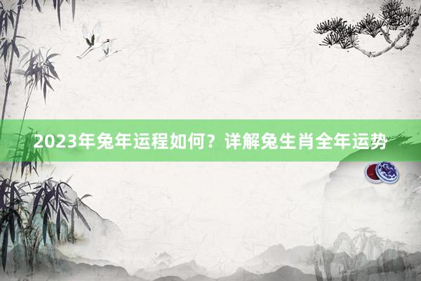 2023年兔年运程如何？详解兔生肖全年运势