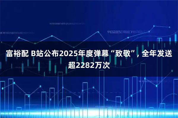 富裕配 B站公布2025年度弹幕“致敬”, 全年发送超2282万次