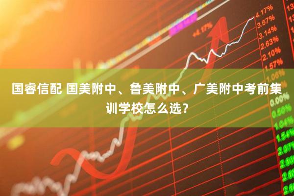 国睿信配 国美附中、鲁美附中、广美附中考前集训学校怎么选？