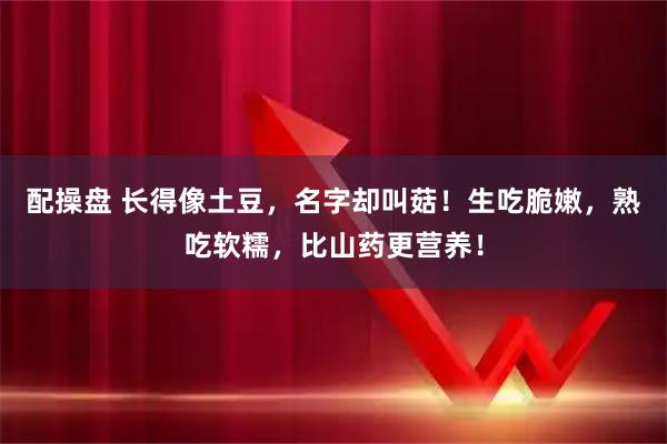 配操盘 长得像土豆，名字却叫菇！生吃脆嫩，熟吃软糯，比山药更营养！